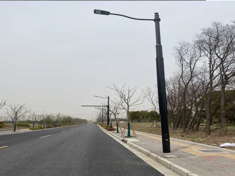 游仙区上海综合杆 太阳能路灯工程